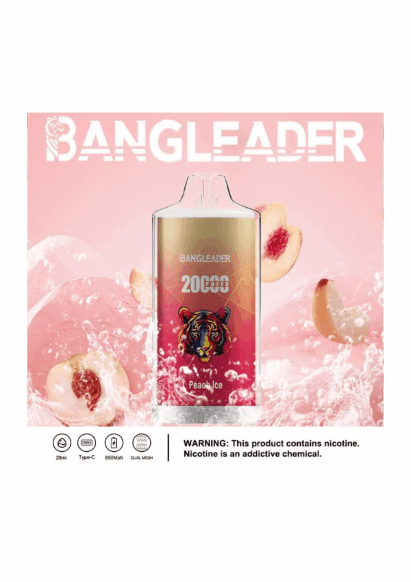 Buy Bang Leader 20000 Vape | 20K Puffs | Pre-filled 28mL Tank | 0%-5% Nicotine Options | 650mAh Battery | Disposable Vape Pen | 13 Flavor Selections | Smooth Mesh Coil | Rechargeable Design