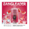 Buy Bang Leader 20000 Vape | 20K Puffs | Pre-filled 28mL Tank | 0%-5% Nicotine Options | 650mAh Battery | Disposable Vape Pen | 13 Flavor Selections | Smooth Mesh Coil | Rechargeable Design