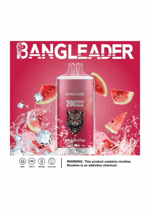 Buy Bang Leader 20000 Vape | 20K Puffs | Pre-filled 28mL Tank | 0%-5% Nicotine Options | 650mAh Battery | Disposable Vape Pen | 13 Flavor Selections | Smooth Mesh Coil | Rechargeable Design