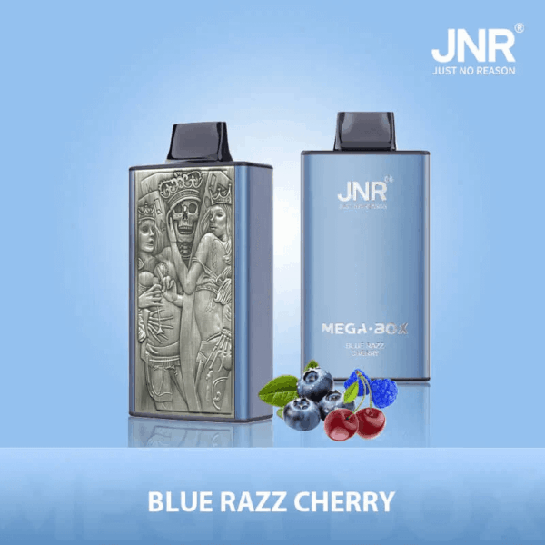 Shop JNR Mega Box 25000 – 25,000 Puff Disposable Vape | 2% Nicotine | 850mAh Battery | 30ml E-Liquid | Dual Mesh Coil | Type-C Rechargeable | Smooth Flavor