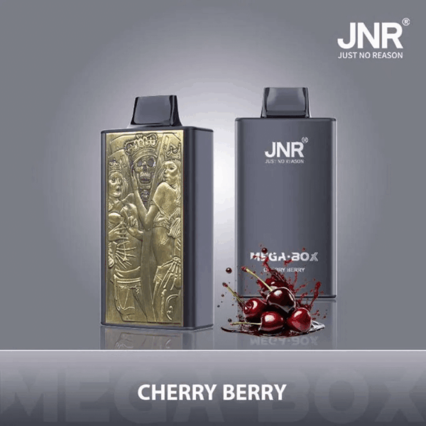 Shop JNR Mega Box 25000 – 25,000 Puff Disposable Vape | 2% Nicotine | 850mAh Battery | 30ml E-Liquid | Dual Mesh Coil | Type-C Rechargeable | Smooth Flavor
