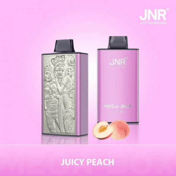 Shop JNR Mega Box 25000 – 25,000 Puff Disposable Vape | 2% Nicotine | 850mAh Battery | 30ml E-Liquid | Dual Mesh Coil | Type-C Rechargeable | Smooth Flavor