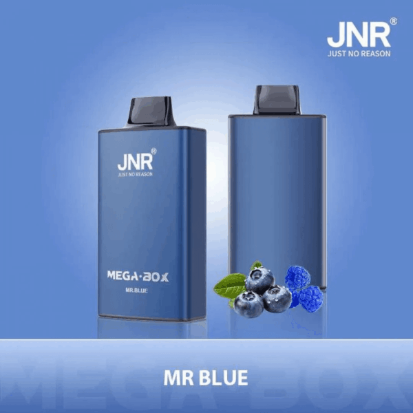 Shop JNR Mega Box 25000 – 25,000 Puff Disposable Vape | 2% Nicotine | 850mAh Battery | 30ml E-Liquid | Dual Mesh Coil | Type-C Rechargeable | Smooth Flavor