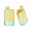 Buy VapSolo Twins 20000 Vape | 20K Puffs | Pre-filled 25mL Tank | 2%-5% Nicotine Options | 650mAh Battery | Dual Flavor Pods | LED Screen | Type-C Fast Charging | Disposable Vape Pen
