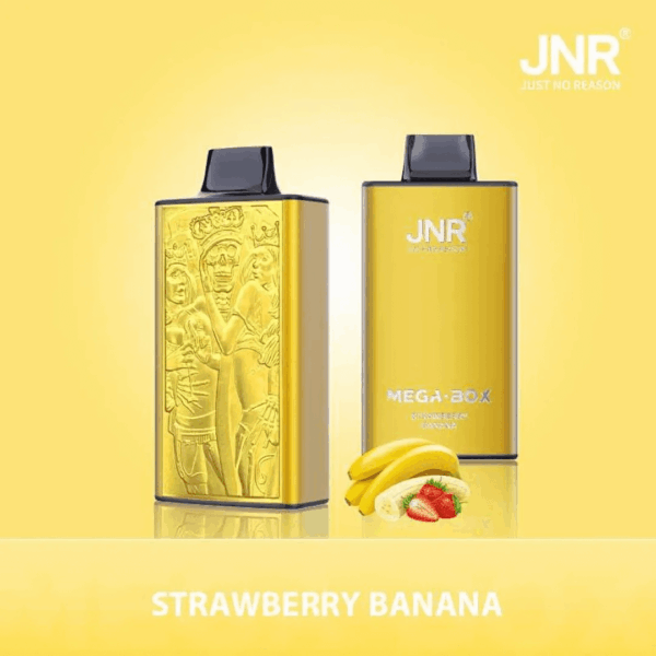 Shop JNR Mega Box 25000 – 25,000 Puff Disposable Vape | 2% Nicotine | 850mAh Battery | 30ml E-Liquid | Dual Mesh Coil | Type-C Rechargeable | Smooth Flavor