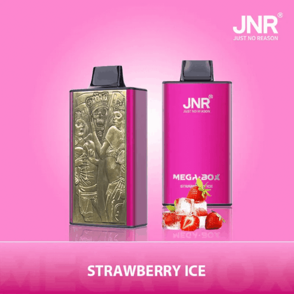 Shop JNR Mega Box 25000 – 25,000 Puff Disposable Vape | 2% Nicotine | 850mAh Battery | 30ml E-Liquid | Dual Mesh Coil | Type-C Rechargeable | Smooth Flavor