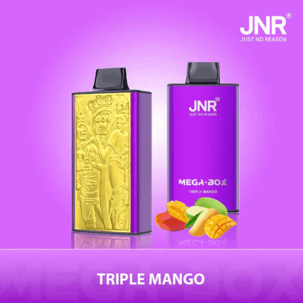 Shop JNR Mega Box 25000 – 25,000 Puff Disposable Vape | 2% Nicotine | 850mAh Battery | 30ml E-Liquid | Dual Mesh Coil | Type-C Rechargeable | Smooth Flavor